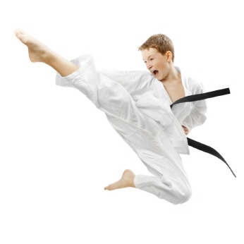 Werte im Karate